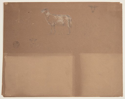 Sketches of Sheep and a Ram, Colombia or Ecuador