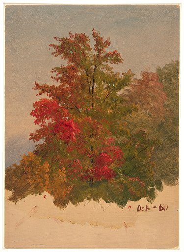 Autumn Foliage, Hudson, New York