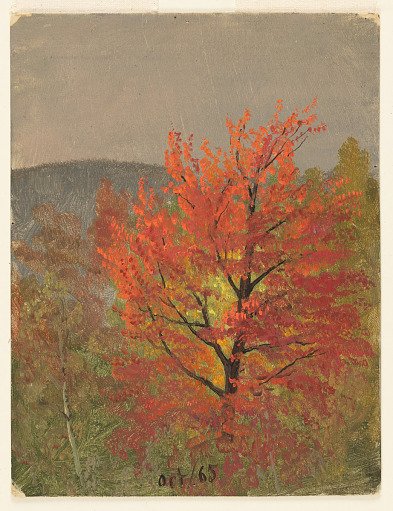 Autumn Foliage, Vermont