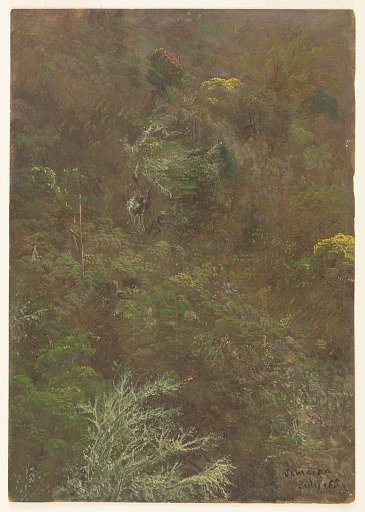 Hillside with Trees, Jamaica