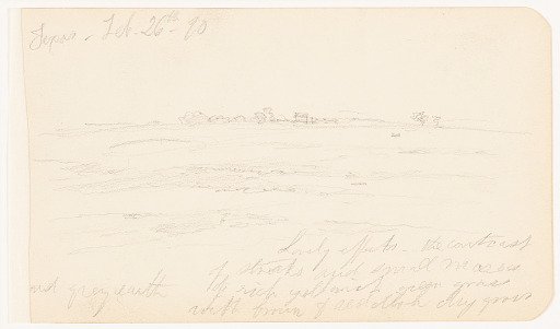 Texas Landscape