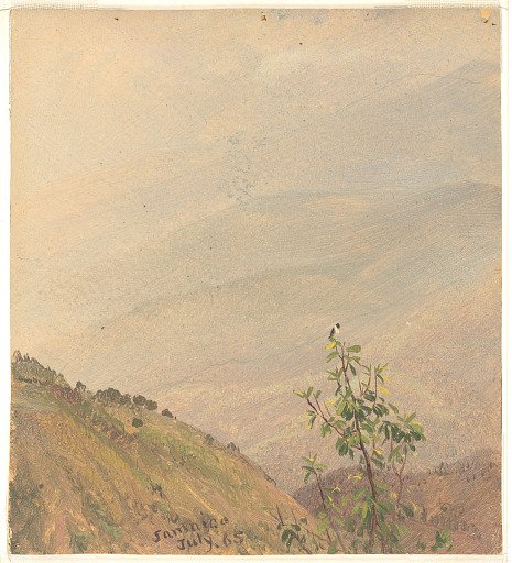Distant Hills, Jamaica