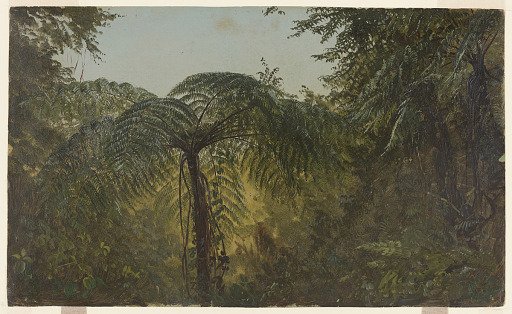 Jungle Foliage, Jamaica