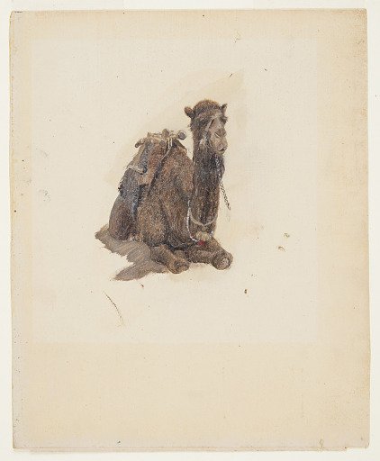 Crouching Camel, Syria or Palestine (Israel)