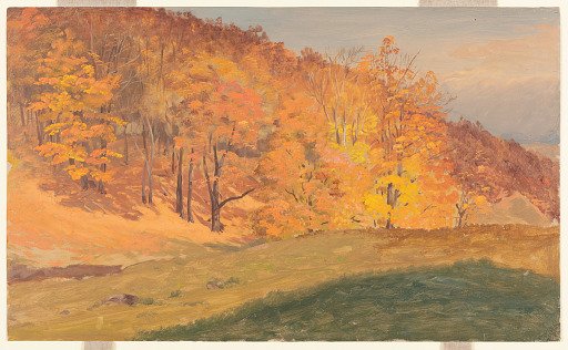 Autumn Woods