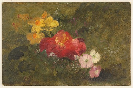Wild Flowers