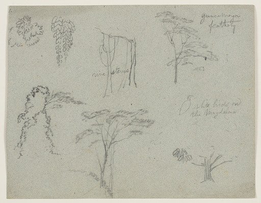 Sketches from the Río Magdalena, Colombia