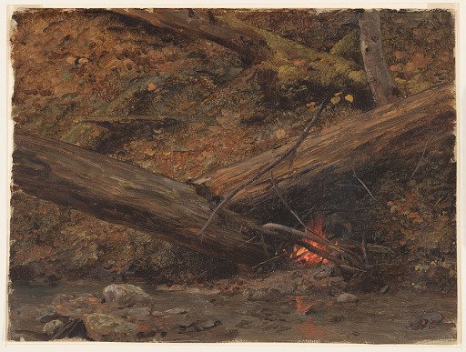 Campfire, Maine Woods