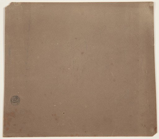 Botanical Sketches, South America