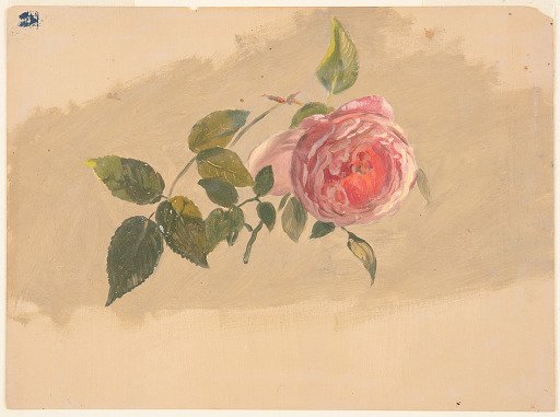 A Rose Bough