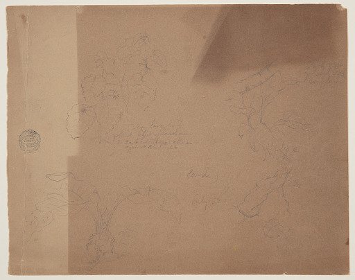 Botanical Sketches near Pandi, Colombia