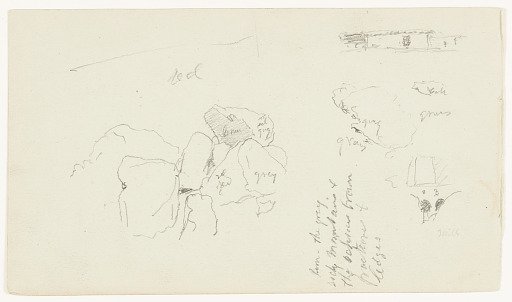 Mixed Sketches, Syria