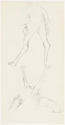 Camel Legs, Palestine or Syria (Israel or Jordan)