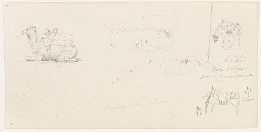Camels on a Mountainside with Mixed Sketches, Palestine (Israel)