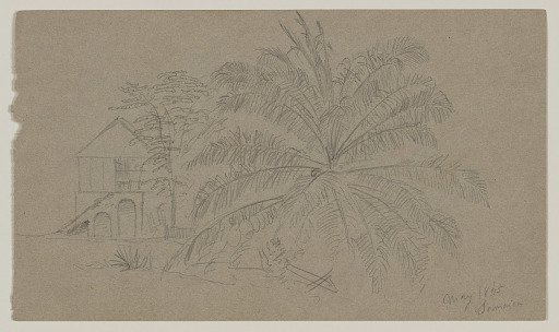 House beside a Palm Tree, Jamaica