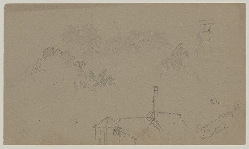 Mixed Sketches, Linstead, Jamaica