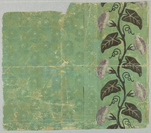 Sidewall and border
