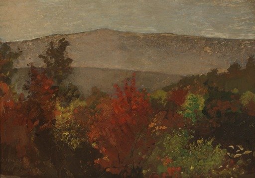 Autumn Treetops