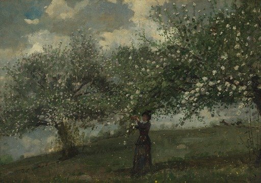 Girl Picking Apple Blossoms