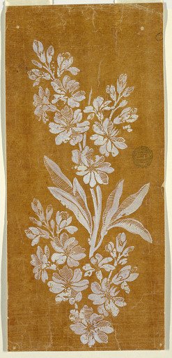 Floral field and border