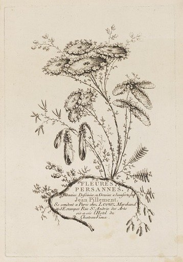 Title Page, from "Fleures Persannes"