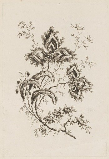 Flower Branch, from "Fleures Persannes"