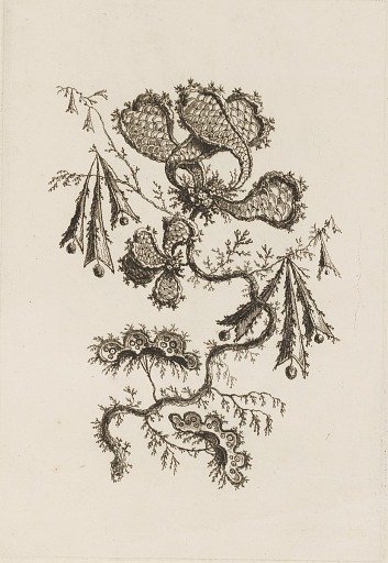 Flower Branch, from "Fleures Persannes"