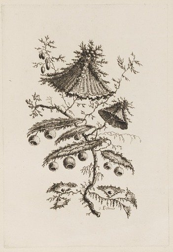 Flower Branch, from "Fleures Persannes"