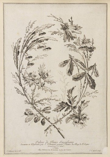 Cahier de Fleurs Singulieres