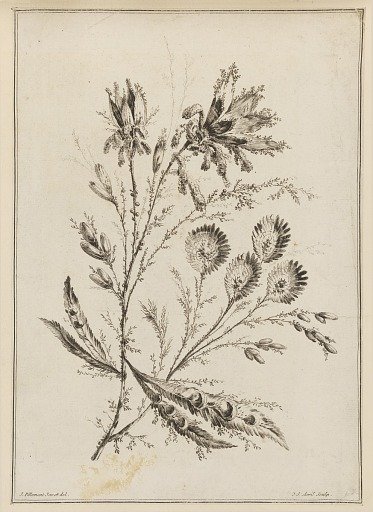 Flower Bough