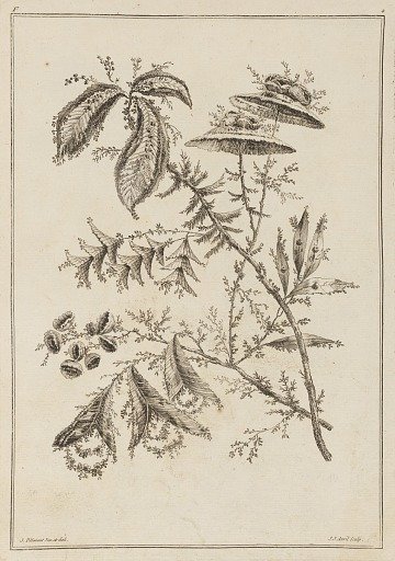 Flower Bough
