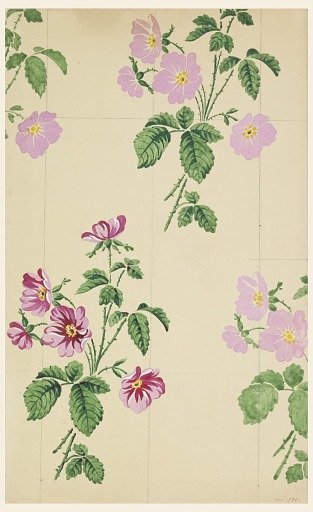 Design for a printed fabric