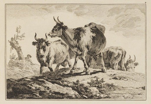 Plate 4, from "Cahier de Six Feuilles de Boeufs et Vaches"
