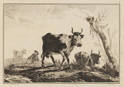 Plate 5, "Cahier de Six Feuilles de Boeufs et Vaches"