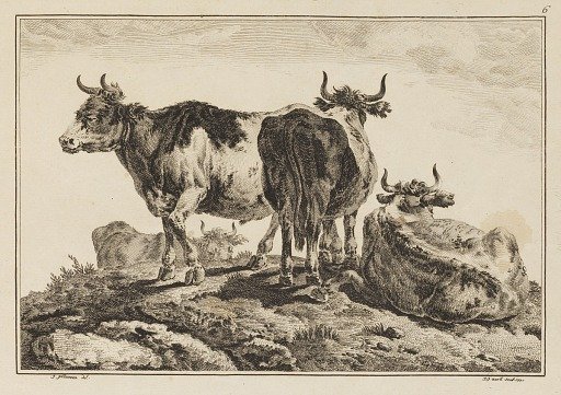 Plate 6, from "Cahier de Six Feuilles de Boeufs et Vaches"