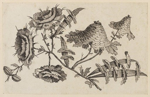 Flower Bough, from "Recueil de Fleurs Chinois"