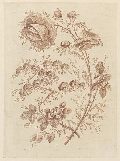 Flower Bough, from "Cahier de Fleurs Singuliers"
