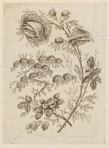 Flower Bough, from "Cahier de Fleurs Singuliers"