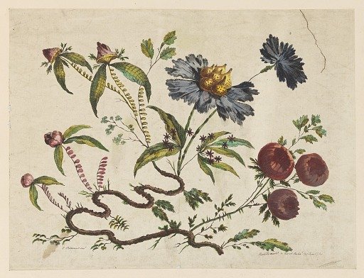 Flower Boughs, from "Recueil de Differentes Fleurs de Fantaisie Dans le Goût Chinois"