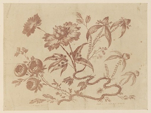 Flower Boughs, from "Recueil de Differentes Fleurs de Fantaisie Dans le Goût Chinois"