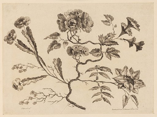 Flower Boughs, from "Recueil de Differentes Fleurs de Fantaisie Dans le Goût Chinois"