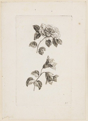 Print