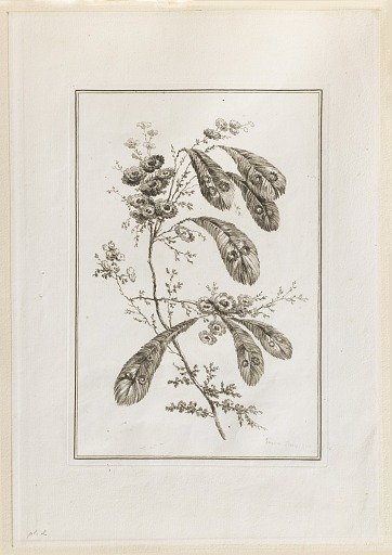 Print