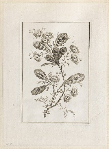 Print