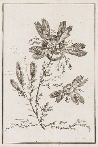 Print