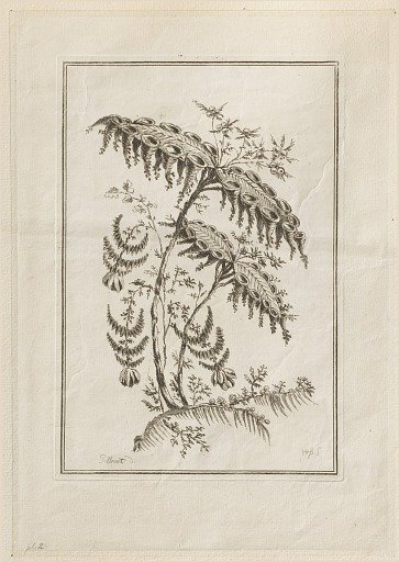 Print