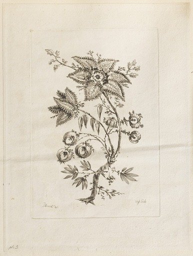Print