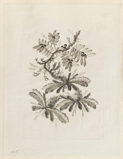 Print