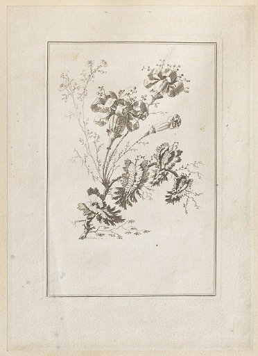 Print