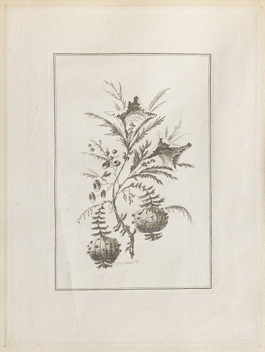 Print